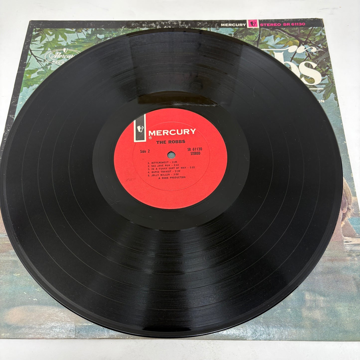 The Robbs : The Robbs (LP,Album,Stereo)
