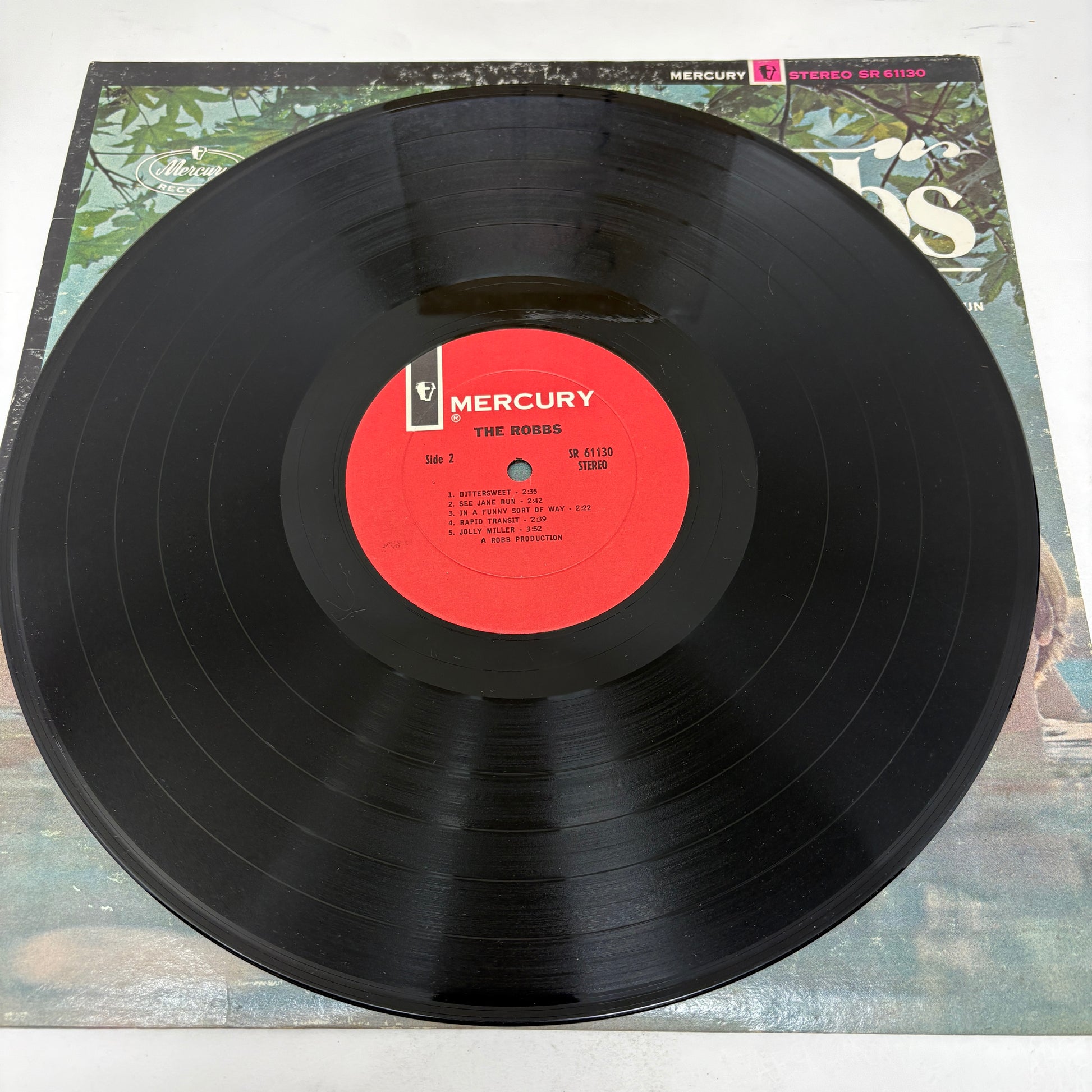 The Robbs : The Robbs (LP,Album,Stereo)