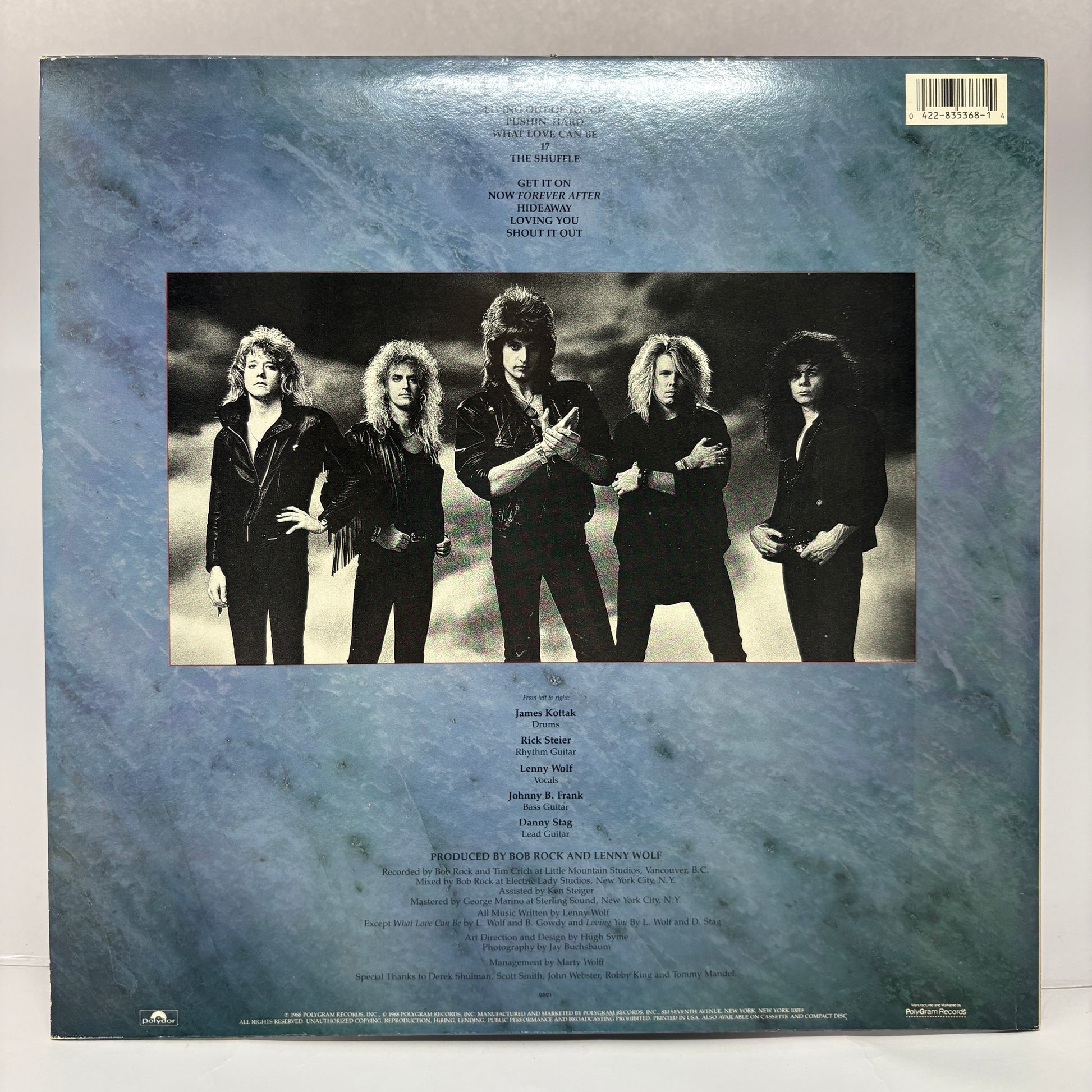 Kingdom Come (2) : Kingdom Come (LP,Album)