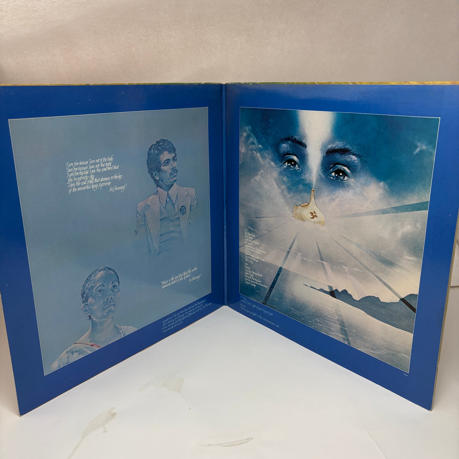 Devadip : Oneness (Silver Dreams~Golden Reality) (LP,Album)