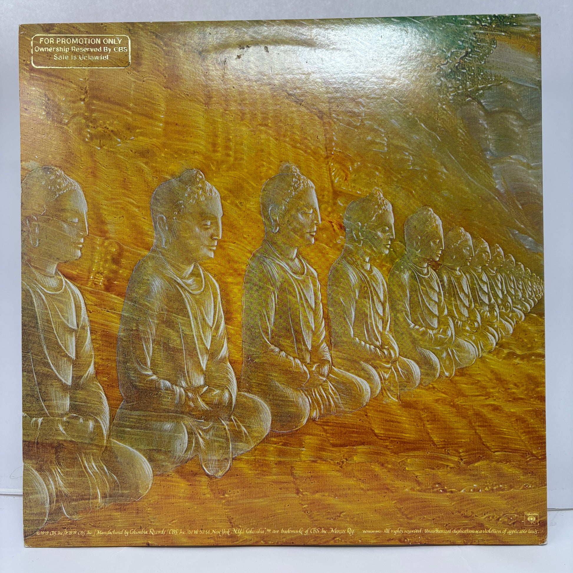 Devadip : Oneness (Silver Dreams~Golden Reality) (LP,Album)