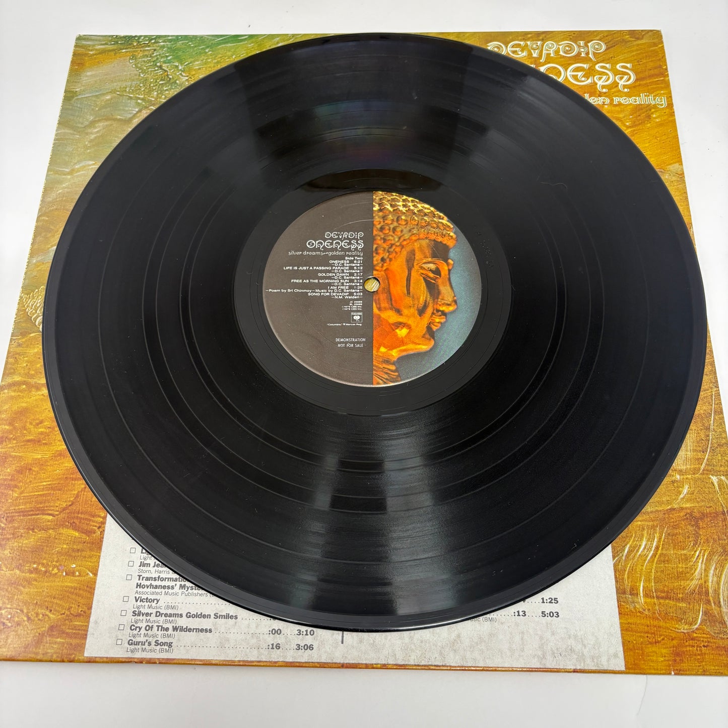 Devadip : Oneness (Silver Dreams~Golden Reality) (LP,Album)